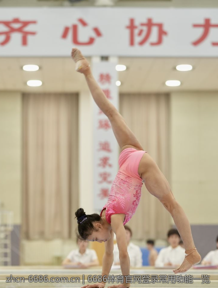 6686体育官网登录常用功能一览
